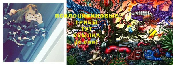 MESCALINE Вяземский