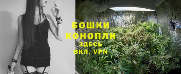 ECSTASY Вязьма